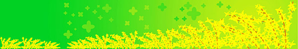 꽃