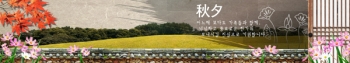 ace 037-362